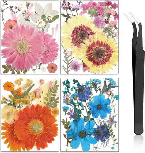 Miniatura 23 de Nuanchu Flores secas prensadas negras para manualidades, flores secas góticas, flores silvestres prensadas naturales a granel con pinzas para molde