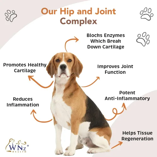 Miniatura 5 de Masticables de cúrcuma para cadera y articulaciones para perros, masticables para apoyo de movilidad, salud del cartílago y alivio del dolor