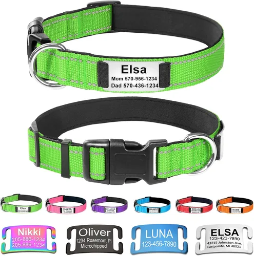 Miniatura 17 de Collares de perro personalizados con placa de nombre, etiquetas de identificación grabadas con collar de nailon reflectante, collar de neopreno