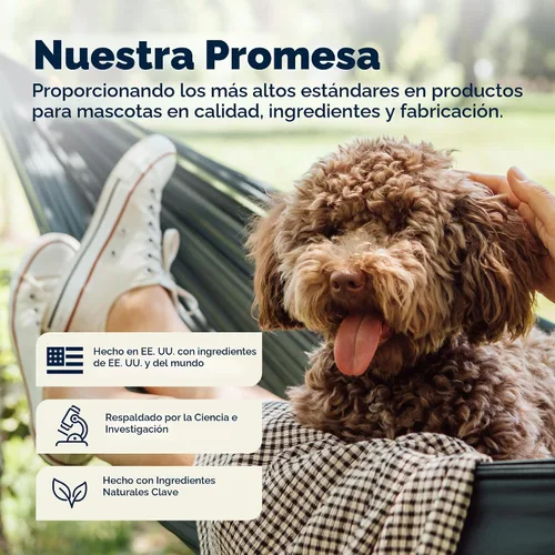 Miniatura 9 de Vetnique Dermabliss Clorhexidina para la salud de la piel de los perros, aerosol medicado antibacteriano, para infecciones de la piel e irritación