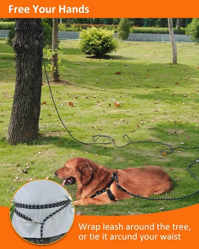 Miniatura 7 de Correa larga para entrenamiento de perros de 10 pies, 16 pies, 30 pies, 50 pies, 100 pies, cuerda de hilos reflectantes, correa resistente para Negro