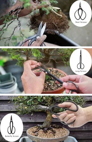Miniatura 3 de Kit de herramientas de árbol bonsái, 22 piezas, juego de herramientas de bonsái de acero de alto carbono, incluye tijeras de podar, cortadores