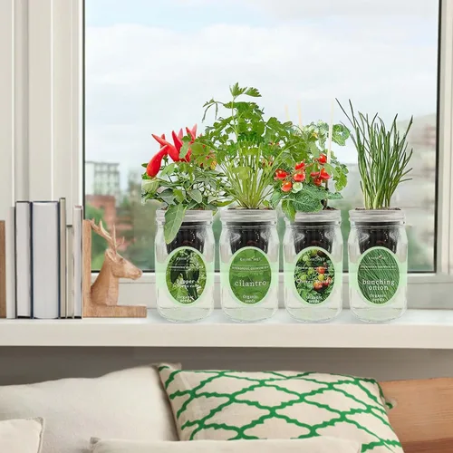 Miniatura 5 de Kit de cultivo de hierbas hidropónicas, tarro de masón de riego automático, kit de inicio de jardín de hierbas para interiores, cultiva 4 tipos
