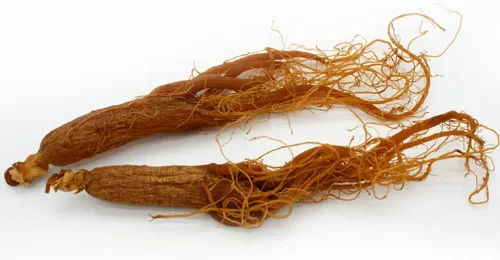Miniatura 3 de Raíz de ginseng rojo, ginseng rojo de Corea, raíz de ginseng rojo coreano, raíz de ginseng coreano rojo orgánico natural, raíz de ginseng radix