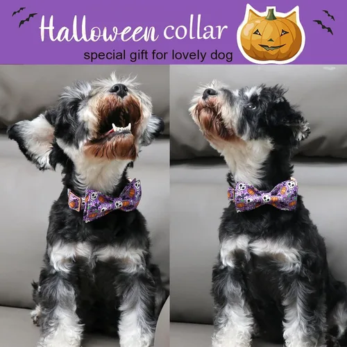 Miniatura 3 de ARING PET Collar de Halloween para Perro con Pajarita de Calabaza Linda, Collares de Perro de Algodón Morado con Calavera y Murciélago, Collares A