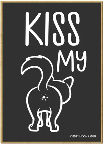Honey Dew Gifts, Kiss My, 75988 - Imanes decorativos, 2.5 x 3.5 pulgadas, imanes decorativos, regalos de gato para dama, imán divertido para gatos
