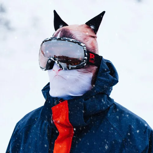 Miniatura 5 de BEARDOWEAR Máscara de esquí con cabeza de gato enojado unisex con impresión realista.