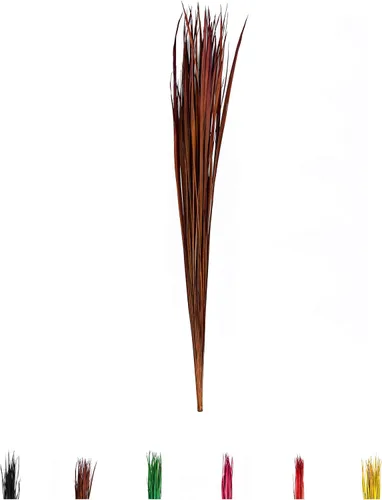 Miniatura 10 de Leewadee Relleno de Jarrón Alto, Tallos de Hierba Natural – 2 Manojos de Ramas de Colores para Jarrones, Ramitas Cuidadosamente Secas para Burdeos