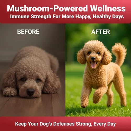 Miniatura 4 de WuffWell Suplemento de hongos de cola de pavo para perros, hongos de apoyo inmunológico, suplementos de hongos para perros para la salud, cola