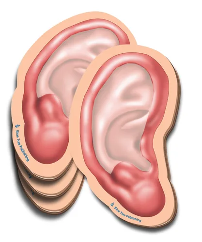 Miniatura 23 de Notas Adhesivas de Anatomía
