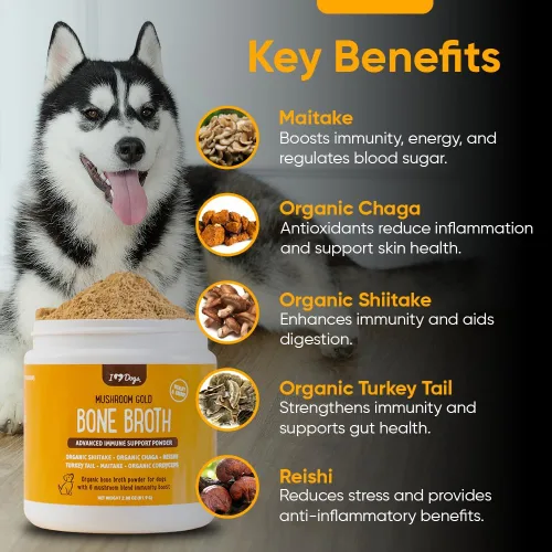 Miniatura 4 de iHeartDogs Caldo de huesos y colágeno para perros, caldo de huesos y hongos en polvo dorado para apoyo del sistema inmunológico, movilidad