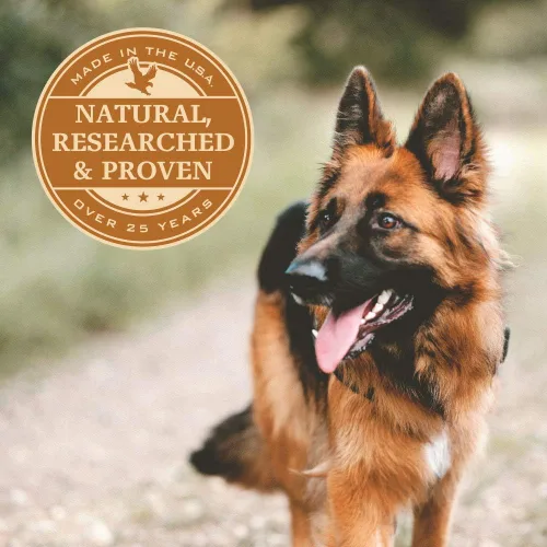 Miniatura 2 de Comida para perro seca natural Eagle Pack