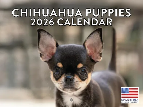 Miniatura 42 de Calendario de pared mensual 2025 Great Dane de 12 meses, fabricado en Estados Unidos