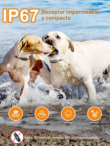 Miniatura 4 de Bousnic Collar de choque para perro, 2 perros (5-120 libras) – Collar de entrenamiento impermeable de 3300 pies para perros grandes, medianos