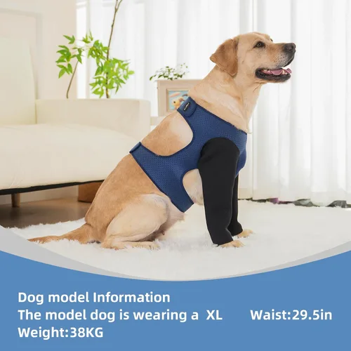 Miniatura 4 de Mangas para perros para heridas ambas patas delanteras, alternativa al collar de cono, manga de recuperación de perro resistente a la abrasión