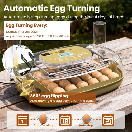 Miniatura 4 de Incubadoras para incubar huevos, capacidad de 24 huevos con giro automático, control preciso de temperatura y humedad, vela de huevo, ventilación