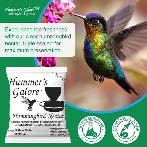Miniatura 4 de Hummer's Galore Alimento para colibríes, néctar de colibrí listo para mezclar, fórmula colectora de néctar totalmente natural, sin conservantes ni