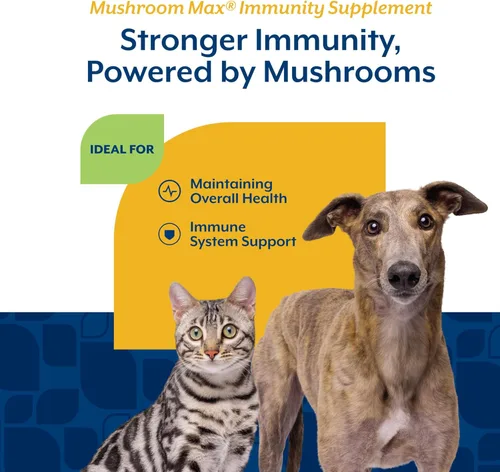Miniatura 4 de NaturVet Mushroom Max - Suplemento avanzado para perros de apoyo inmunológico – Ayuda a fortalecer la inmunidad, la salud general de los perros