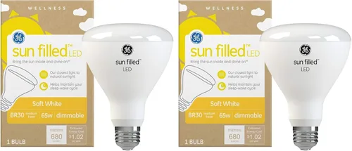 Miniatura 15 de GE Bombilla LED con relleno de sol, 60 vatios, blanco suave, A21 (paquete de 1)