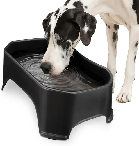Miniatura 20 de Neater Pet Brands Cuencos para gatos de gran capacidad, cuenco de agua para gatos, reptiles, pollos, aves y animales pequeños, cuenco de comida