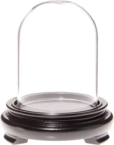 Plymor Cúpula de cristal de 2.5 x 3.5 pulgadas (base con patas de chapa de madera negra)