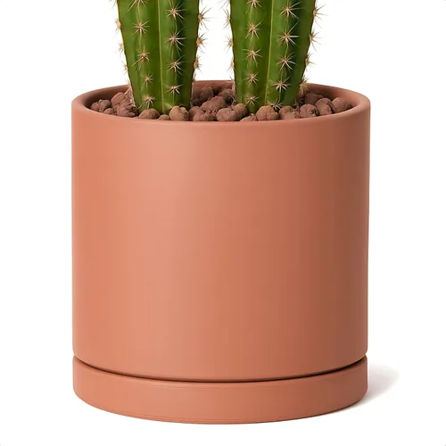 Miniatura 10 de D'vine Dev Maceta de Terracota Extra Pequeña de 4 Pulgadas con Orificio de Drenaje y Platillo, Maceta Cilíndrica Redonda para Plantas