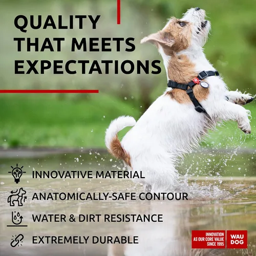 Miniatura 4 de WAUDOG Juego de arnés y correa impermeable para perro de 6 pies, ajustable, resistente con cierre de metal duradero y placa QR para perro