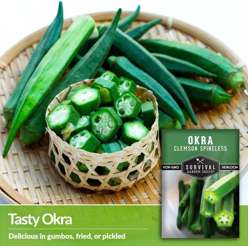 Miniatura 4 de Survival Garden Seeds - Semilla de okra sin espinas Clemson para plantar - Paquete con instrucciones para plantar y cultivar Okra tierna y grande