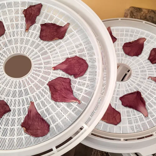 Miniatura 6 de DOSTK - Paquete de 8 hojas deshidratadoras redondas de silicona, malla de silicona antiadherente de alta calidad para deshidratador de frutas, forro