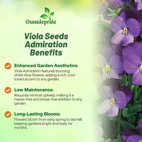 Miniatura 3 de Outsidepride Admiration Viola - Semillas de pensamiento para plantar, 1000 unidades. Flores perennes, resistentes al frío y aptas para polinizadores