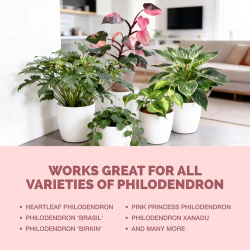 Miniatura 6 de Philodendron Fertilizer - Alimento líquido vegetal para hojas más grandes, follaje exuberante y crecimiento nuevo, 8 onzas