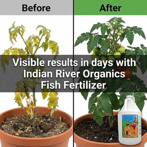 Miniatura 4 de Fertilizante de pescado - Fertilizante de pescado hidrolizado con certificación Omri para plantas (1 galón)