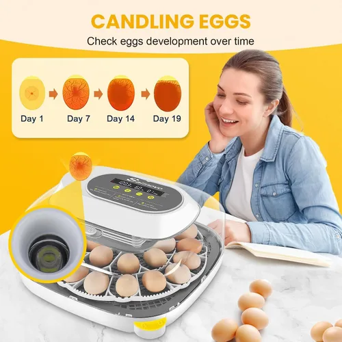 Miniatura 6 de Sailnovo Incubadora para 24 huevos, incubadora de huevos de 4 modos con giro automático de huevos, control de temperatura y alarma de humedad, vista