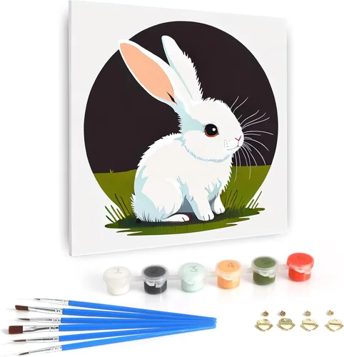 Dynippy Pintura al óleo por números para principiantes, lienzo colorido, enmarcado, acrílico, al óleo, kit de pintura fácil para adultos y niños, 8