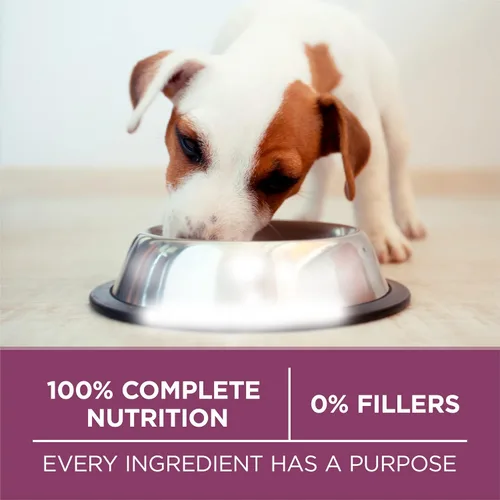 Miniatura 8 de Purina ONE Plus Healthy Puppy Formula Alimento seco natural con alto contenido de proteínas para cachorros con vitaminas, minerales y nutrientes