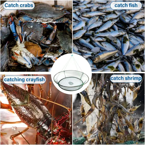 Miniatura 3 de Red y cesta de cangrejo portátil - Trampa de pesca plegable para pececillos, cangrejos y camarones