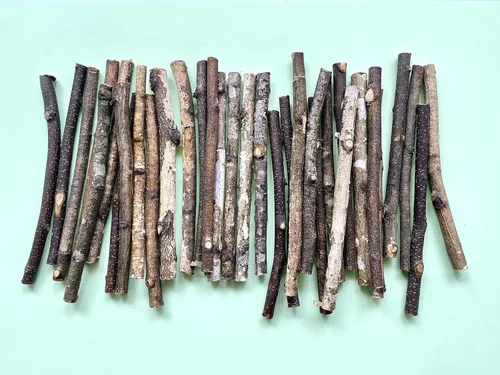 Miniatura 13 de ECOVENIK 25 piezas – Ramas – 28.7 in, ramitas de abedul natural, paquete de 20-25 tallos, largo para jarrones de suelo, (color marrón natural)