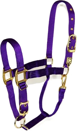 Miniatura 8 de Hamilton, Halter de 1 pulgada con barbilla ajustable, azul baya, 800-1100 libras