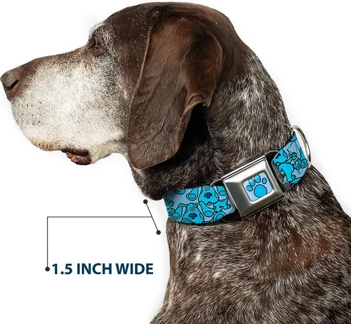 Miniatura 7 de Buckle-Down Collar de perro Hebilla de cinturón de seguridad Blues Clues Blue Poses dispersas 9.5 a 13 pulgadas 1.0 pulgadas de ancho