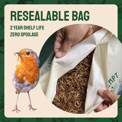 Miniatura 6 de Hatortempt Gusanos secos de harina para aves silvestres – Bolsa de 1.8 libras – Alimento Bluebird – Gusanos de comida con alto contenido