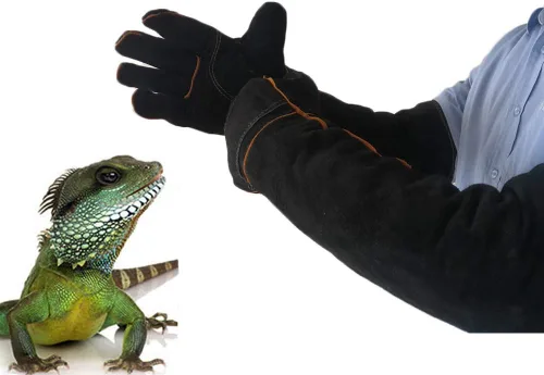 Miniatura 5 de Lessbad Lifeunion - Guantes de protección animal antimordeduras y arañazos, para perro, gato, pájaro, reptil y serpiente (color negro-1)