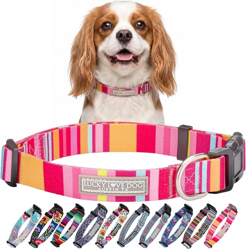 Miniatura 20 de Lucky Love Dog - Collar para perras pequeñas, diseño Blackbird de estampado alegre con flores de primavera y verano, talla XS