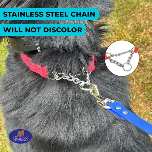 Miniatura 8 de Regal Dog Products Collar Martingale para perros – Collar impermeable de bioano para perros pequeños, medianos y grandes – Cadena resistente