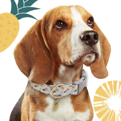 Miniatura 5 de Faygarsle Lindo collar de perro para perras y perros machos, collar suave y elegante para mascotas con diseño de piña, collar de perro de verano