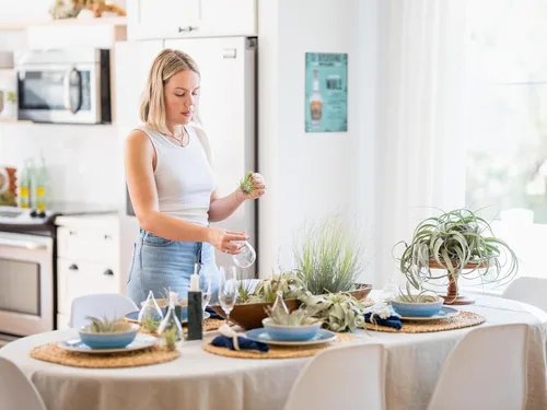 Miniatura 3 de Air Plant Shop Paquete de 10 plantas de aire Tough Stuff de Tillandsia, al por mayor y a granel, suculentas, Tillandsia viva, plantas