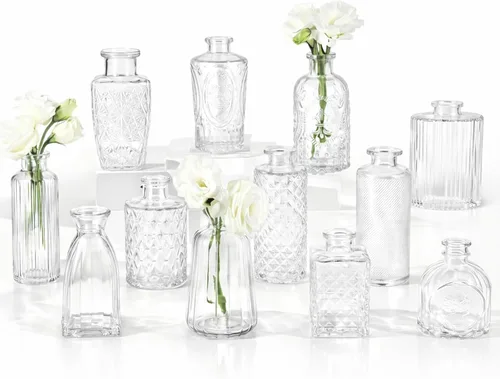 RUCKAE Juego de 12 jarrones pequeños transparentes para brotes a granel, jarrones de vidrio para mini flores para centros de mesa, decoraciones de