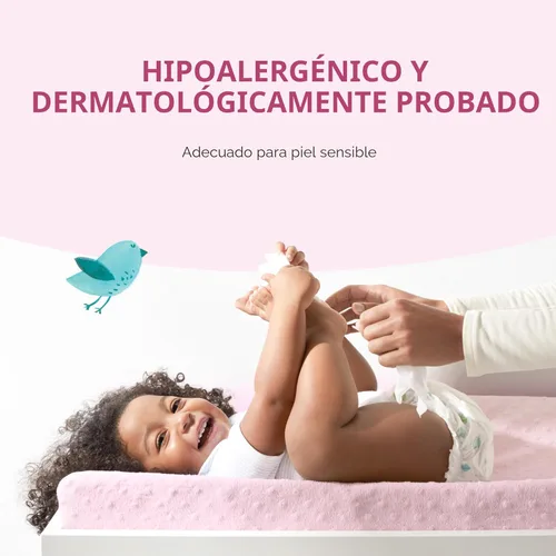 Miniatura 3 de Marca Amazon – Mama Bear - Toallitas suaves formuladas sin fragancia, hipoalergénicas, piel sensible, sin perfume, 800 unidades (8 paquetes de 100)