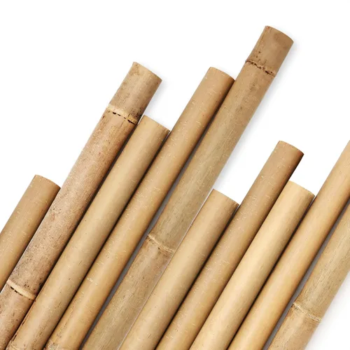 Miniatura 9 de Cambaverd Varillas de bambú para plantas, estacas de bambú de 2 pies para jardinería interior, estacas para plantas en maceta, mini árboles, estacas