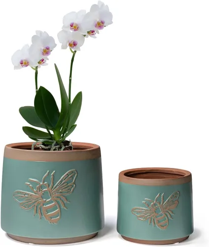 Miniatura 9 de Macetas de terracota con orificios de drenaje con decoración de abejas, macetas de cerámica para plantas de interior y exterior, suculentas
