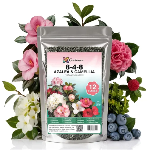 Miniatura 115 de 𝐁𝐄𝐒𝐓𝐒𝐄𝐋𝐋𝐄𝐑 Fertilizante Soluble en Agua 20-20-20 – Polvo para Alimento Líquido de Plantas para Plantas de Interior y Exterior, Orquídeas, Vegetales